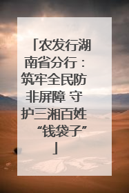 农发行湖南省分行：筑牢全民防非屏障 守护三湘百姓“钱袋子”