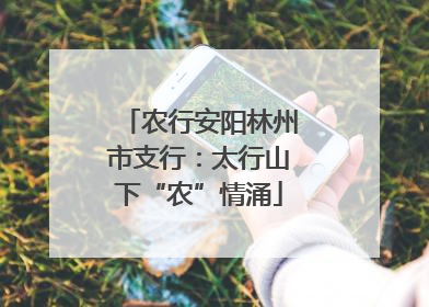 农行安阳林州市支行：太行山下“农”情涌
