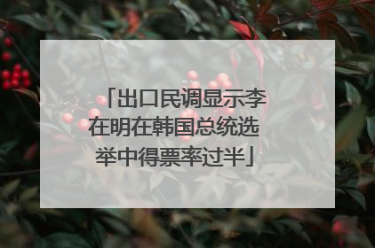 出口民调显示李在明在韩国总统选举中得票率过半