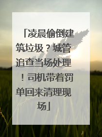 凌晨偷倒建筑垃圾？城管追查当场处理！司机带着罚单回来清理现场