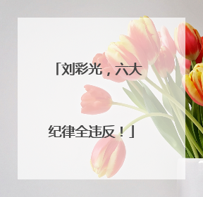 刘彩光，六大纪律全违反！