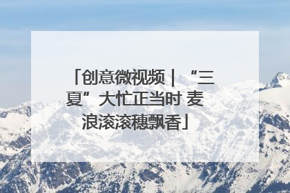 创意微视频｜“三夏”大忙正当时 麦浪滚滚穗飘香