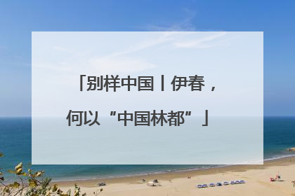 别样中国丨伊春，何以“中国林都”