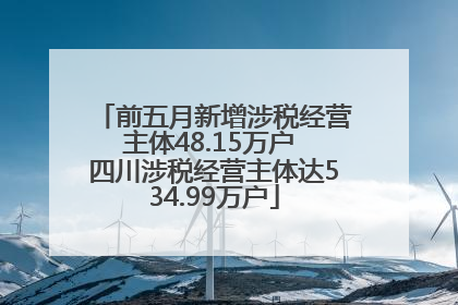 前五月新增涉税经营主体48.15万户 四川涉税经营主体达534.99万户