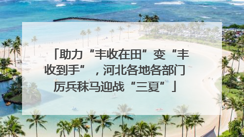 助力“丰收在田”变“丰收到手”，河北各地各部门厉兵秣马迎战“三夏”