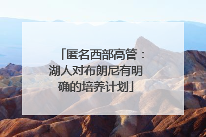 匿名西部高管：湖人对布朗尼有明确的培养计划