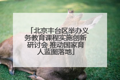 北京丰台区举办义务教育课程实施创新研讨会 推动国家育人蓝图落地