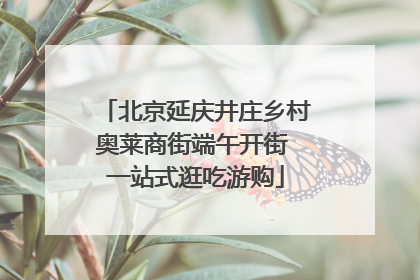 北京延庆井庄乡村奥莱商街端午开街 一站式逛吃游购
