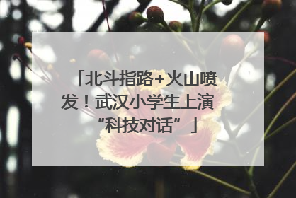 北斗指路+火山喷发！武汉小学生上演“科技对话”