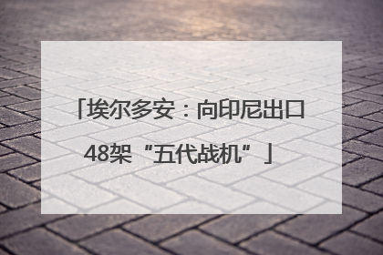 埃尔多安：向印尼出口48架“五代战机”
