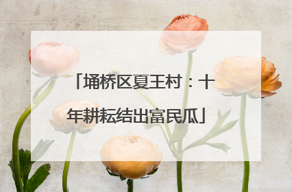 埇桥区夏王村：十年耕耘结出富民瓜