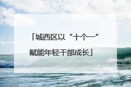 城西区以“十个一”赋能年轻干部成长