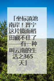 坐标滇池南岸！晋宁这片镜面稻田藏不住了——有一种叫云南的生活之365天
