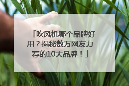 吹风机哪个品牌好用？揭秘数万网友力荐的10大品牌！
