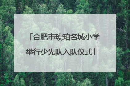 合肥市琥珀名城小学举行少先队入队仪式