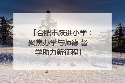 合肥市跃进小学：聚焦办学与师德 督学助力新征程