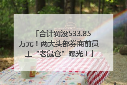 合计罚没533.85万元！两大头部券商前员工“老鼠仓”曝光！