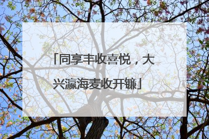 同享丰收喜悦，大兴瀛海麦收开镰