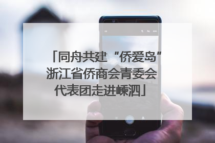 同舟共建“侨爱岛” 浙江省侨商会青委会代表团走进嵊泗