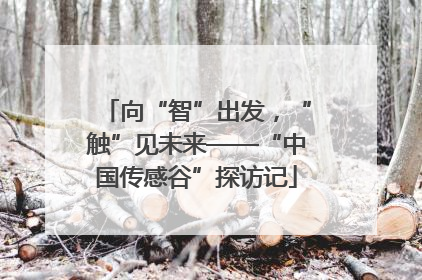 向“智”出发，“触”见未来——“中国传感谷”探访记