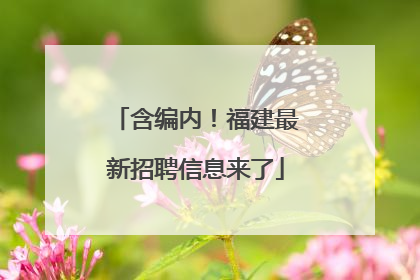 含编内！福建最新招聘信息来了