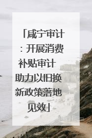 咸宁审计：开展消费补贴审计 助力以旧换新政策落地见效