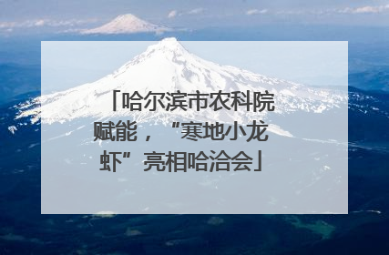 哈尔滨市农科院赋能，“寒地小龙虾”亮相哈洽会