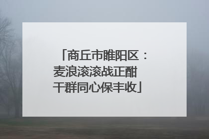 商丘市睢阳区：麦浪滚滚战正酣 干群同心保丰收