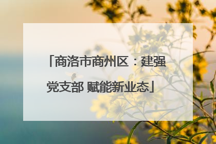 商洛市商州区：建强党支部 赋能新业态