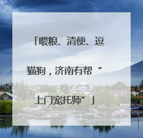 喂粮、清便、逗猫狗，济南有帮“上门宠托师”