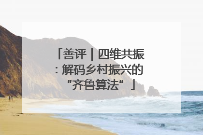 善评｜四维共振：解码乡村振兴的“齐鲁算法”