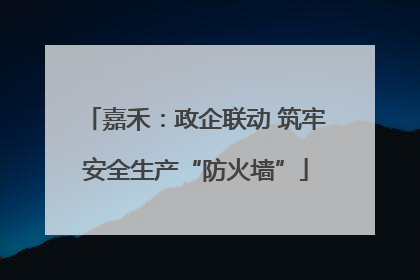 嘉禾：政企联动 筑牢安全生产“防火墙”