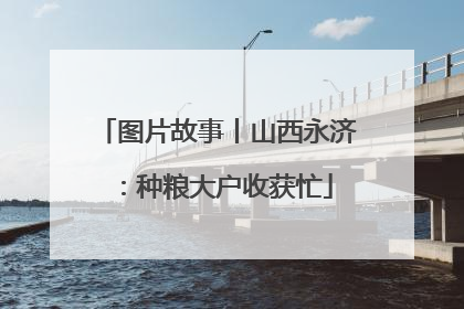 图片故事丨山西永济：种粮大户收获忙