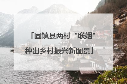 固镇县两村“联姻”种出乡村振兴新图景