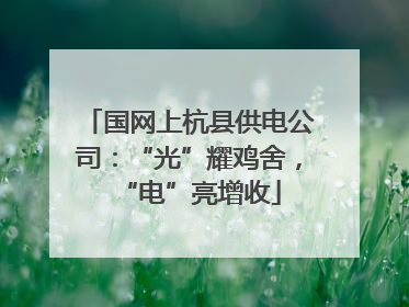 国网上杭县供电公司：“光”耀鸡舍，“电”亮增收
