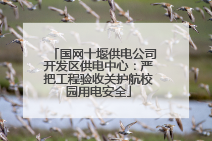 国网十堰供电公司开发区供电中心：严把工程验收关护航校园用电安全