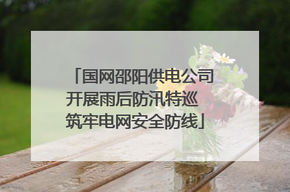 国网邵阳供电公司开展雨后防汛特巡 筑牢电网安全防线