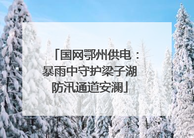 国网鄂州供电：暴雨中守护梁子湖防汛通道安澜