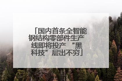 国内首条全智能钢结构零部件生产线即将投产 “黑科技”层出不穷