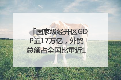 国家级经开区GDP近17万亿，外贸总额占全国比重近1/4｜数读中国