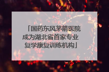 国药东风茅箭医院成为湖北省首家专业复学康复训练机构