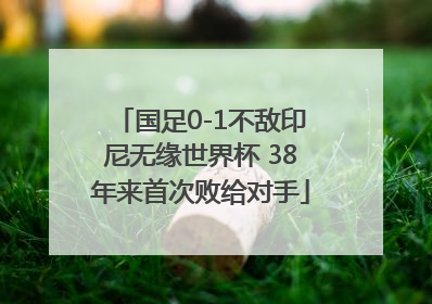 国足0-1不敌印尼无缘世界杯 38年来首次败给对手
