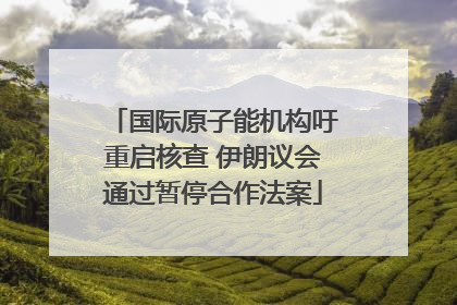 国际原子能机构吁重启核查 伊朗议会通过暂停合作法案