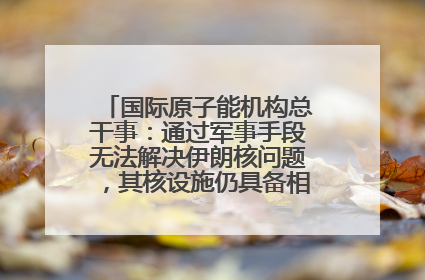 国际原子能机构总干事：通过军事手段无法解决伊朗核问题，其核设施仍具备相关产能，只需要数月就能生产出浓缩铀