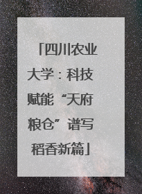 四川农业大学：科技赋能“天府粮仓”谱写稻香新篇