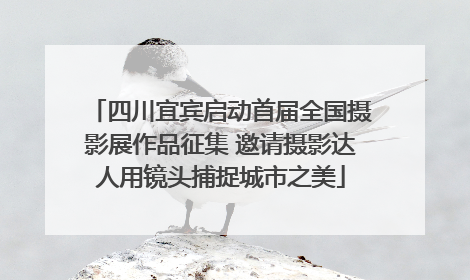 四川宜宾启动首届全国摄影展作品征集 邀请摄影达人用镜头捕捉城市之美