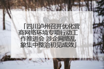 四川泸州召开优化营商网络环境专项行动工作推进会 涉企网络乱象集中整治初见成效