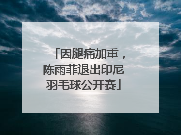 因腿痛加重，陈雨菲退出印尼羽毛球公开赛