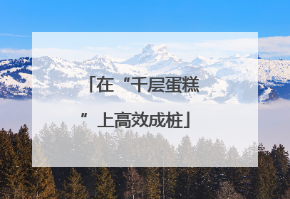 在“千层蛋糕”上高效成桩