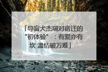 导盲犬杰瑞对宿迁的“初体验”：有爱亦有坎 温情破万难